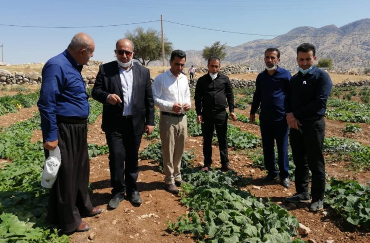 بازدید فرماندار اندیکا از برخی روستاهای بخش مرکزی