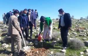 ۳۰۰ اصله نهال و ۲هزار بذر به مناسبت هفته منابع طبیعی در اندیکا کاشته شد