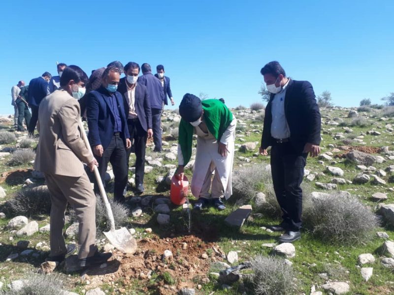 ۳۰۰ اصله نهال و ۲هزار بذر به مناسبت هفته منابع طبیعی در اندیکا کاشته شد