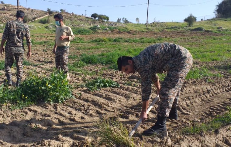 کاشت ۵۰۰ اصله نهال در شهرستان اندیکا