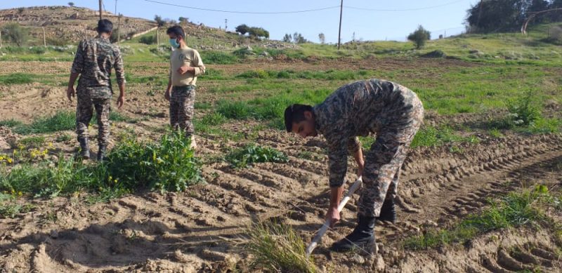 کاشت ۵۰۰ اصله نهال در شهرستان اندیکا