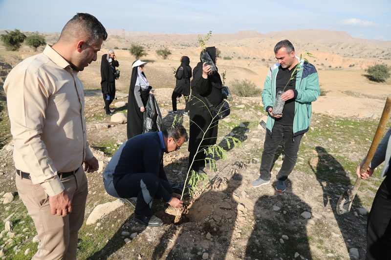 کاشت ۲۰۰ اصله نهال در منطقه حفاظت‌شده هفت‌شهیدان