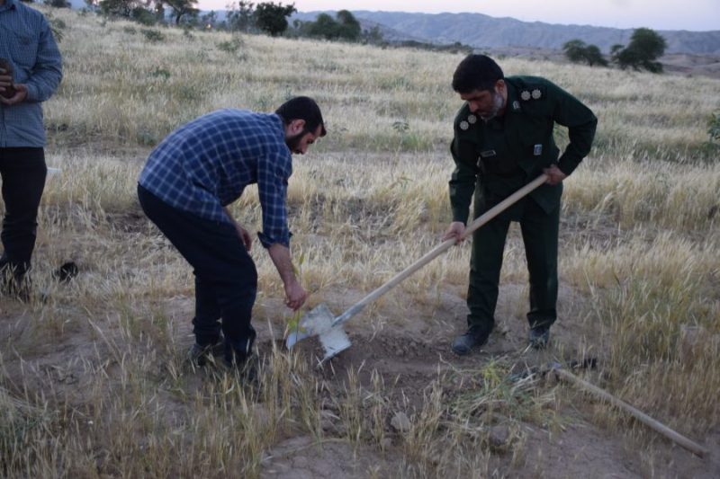 کاشت ۱۲۰۰ نهال به یاد شهدای مسجدسلیمان در سالروز تاسیس سپاه کاشت ۱۲۰۰ نهال به یاد شهدای مسجدسلیمان در سالروز تاسیس سپاه