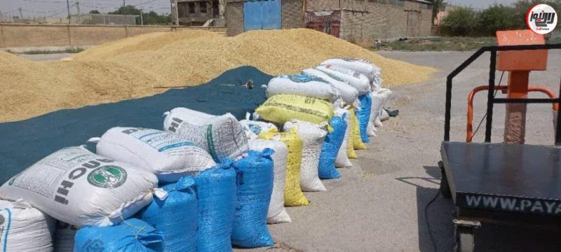 توزیع بیش از ۵۵۰ تن نهاده دامی در بین عشایر شهرستان لالی به دلیل خشکسالی توزیع بیش از ۵۵۰ تن نهاده دامی در بین عشایر شهرستان لالی به دلیل خشکسالی