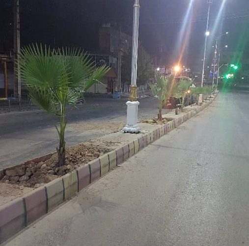 کاشت نخل تزئینی پالم در مسیر بلوار نمره یک به دوراهی بیبیان کاشت نخل تزئینی پالم در مسیر بلوار نمره یک به دوراهی بیبیان