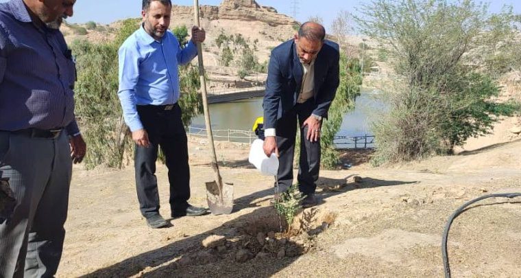 کاشت نهال توسط کارکنان اداره پست مسجدسلیمان در پارک جنگلی تمبی