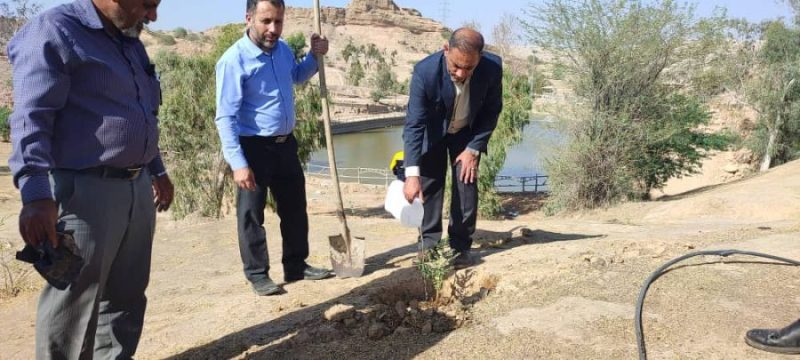 کاشت نهال توسط کارکنان اداره پست مسجدسلیمان در پارک جنگلی تمبی