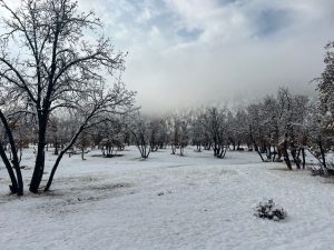 بی‌برقی زیر برف / کمفه در انتظار تحقق وعده‌های مسئولان