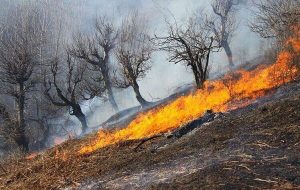 مهار آتش سوزی “شیمبار” پس از ۱۰ ساعت تلاش در میان دود و گرما