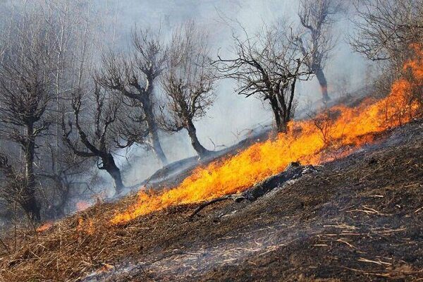 مهار آتش سوزی “شیمبار” پس از ۱۰ ساعت تلاش در میان دود و گرما